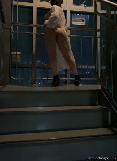 奶牛2