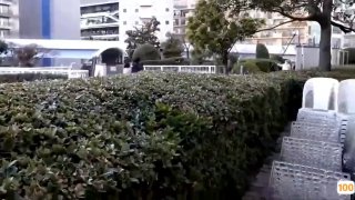 一区视频⭕❌欧美精品A片XXX⭕❌欧美性猛交XXXX乱大交极品-无码av电影在线观看不卡